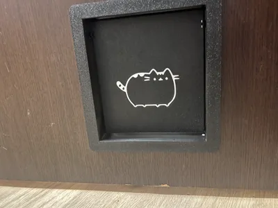 swinging cat door with frame