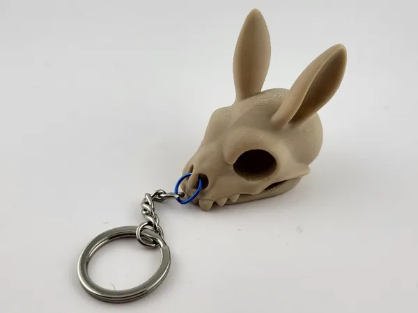 https://makerworld.bblmw.com/makerworld/model/US839eb5aad46e8e/design/5c8a79fc143401d0.jpg