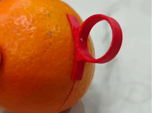 https://makerworld.bblmw.com/makerworld/model/US83a0e2067b2df6/design/2026-01-04_27c83789f7304.jpg
