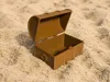 Treasure Chest 100%
