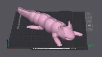 Jouet flexible axolotl — photo 4