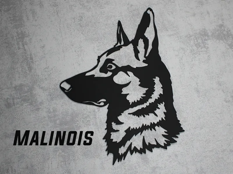 Malinois (Belgian shepherd) dog wall art