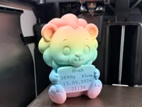 0.16mm layer, 2 walls, 5% infill