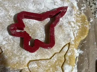 F-22 Raptor Stealth Fighter Cookie Cutter