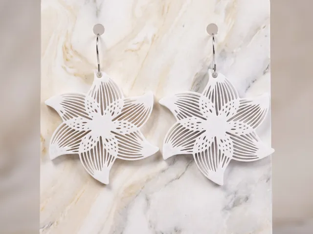 Boucles oreilles 204