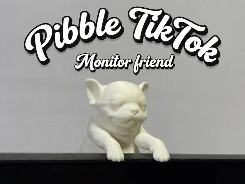 Pibble TikTok monitor friend