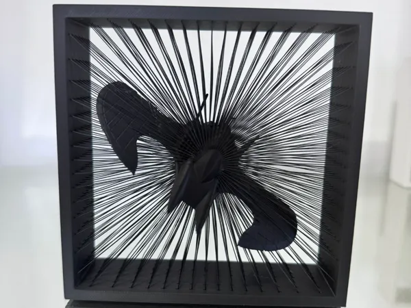 https://makerworld.bblmw.com/makerworld/model/US83b3971d2fa44/design/2024-08-11_682880ce0a007.jpg