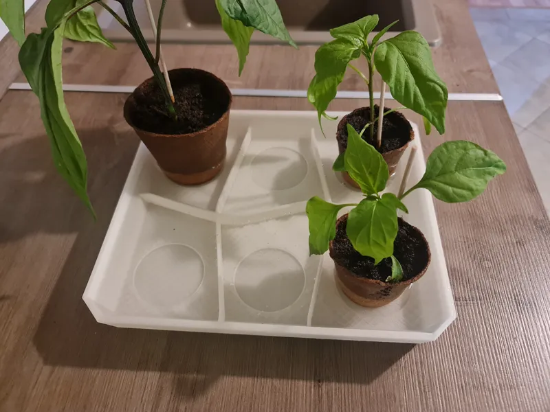 6-fach Untersetzer für Anzuchttöpfe / grow pots