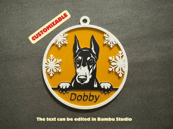 https://makerworld.bblmw.com/makerworld/model/US83b569bafda1a3/design/2024-12-09_a748080b3857f.png