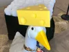 Cheese Head 17" version