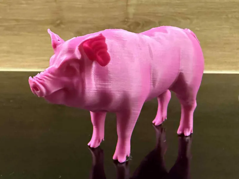 Piggy farm buddy
