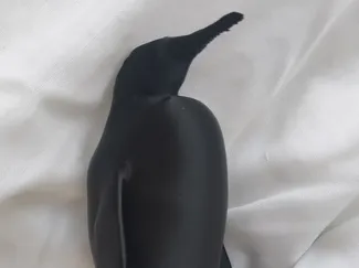 King penguin standing model