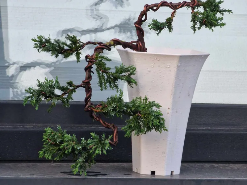 Bonsai pot - cascade