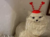 Chapeau de Saint-Valentin pour figurine de chat — photo 1