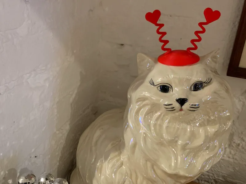 Valentines Day Hat - Cat Hat Series