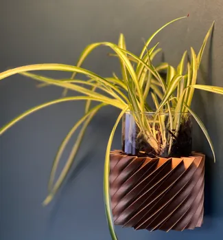 Spiral Wall Planter