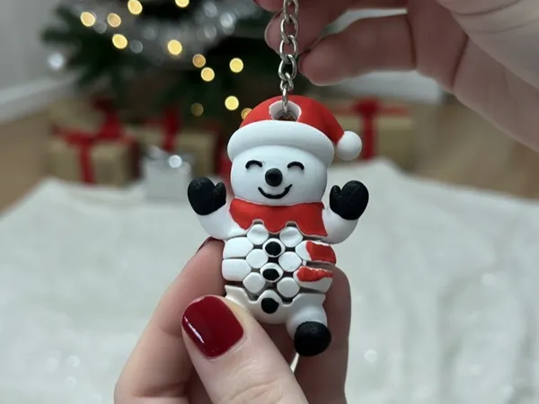 https://makerworld.bblmw.com/makerworld/model/US83c6d8b93e9a1b/design/2025-11-02_05dc28e4fa6458.jpg