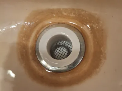 bathroom sink drain screen