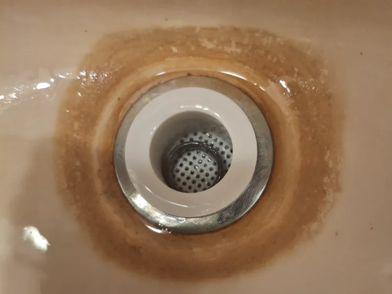 bathroom sink drain screen