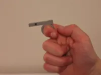 Ring Whistle