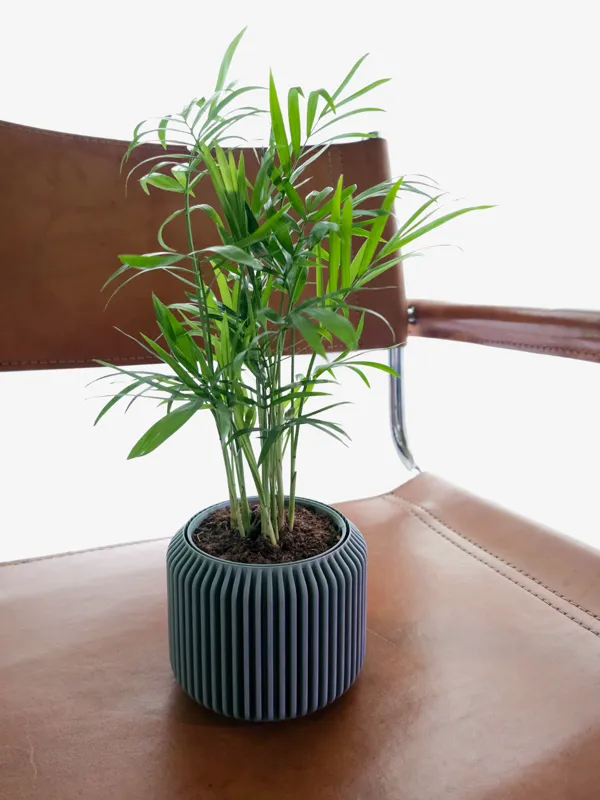 https://makerworld.bblmw.com/makerworld/model/US83d0197ec469d8/design/2024-05-05_d5154cdd0f91.jpg