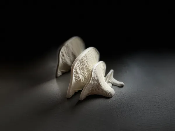 https://makerworld.bblmw.com/makerworld/model/US83d4479b17ca95/design/2025-10-13_22ebf0a907d24.jpeg