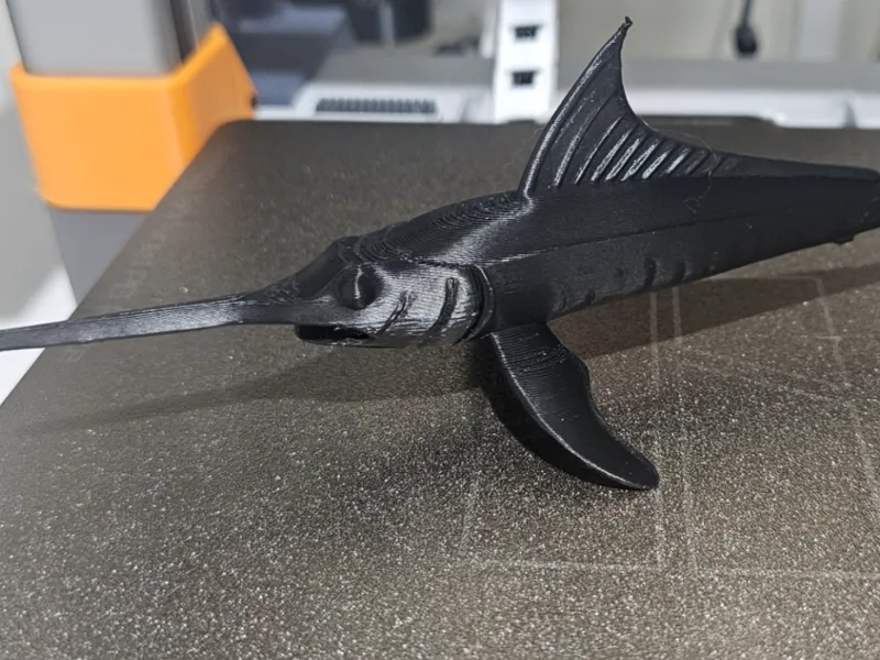 Sea Lance Swordfish