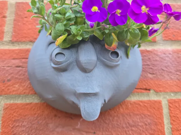 https://makerworld.bblmw.com/makerworld/model/US83d6f85a010340/design/2025-04-24_0abbdb1ed6142.jpg