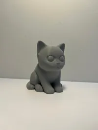 Chaton adorable — photo 3