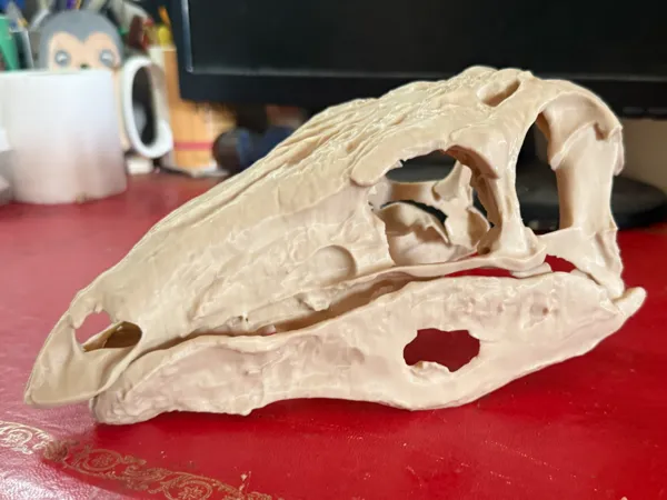 https://makerworld.bblmw.com/makerworld/model/US83dd2357cfd23a/design/2025-12-30_2958d401546078.jpg