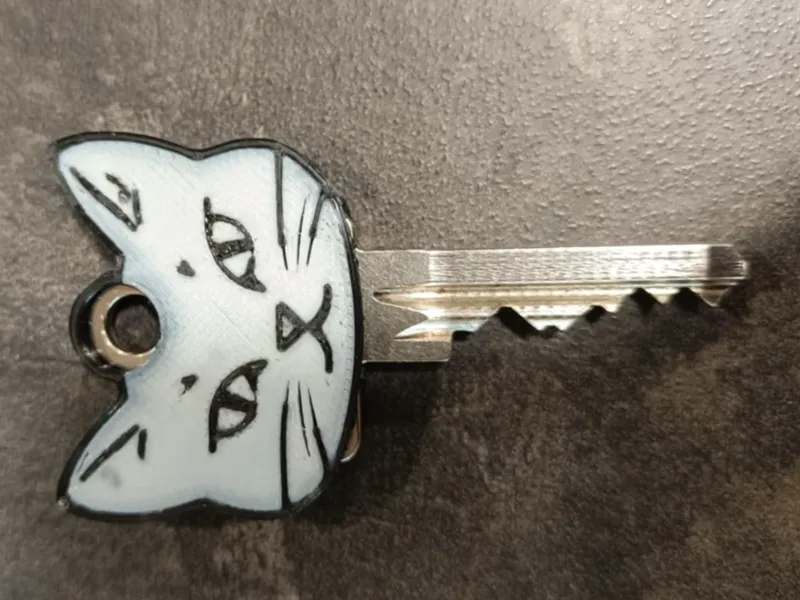 Key recognizer - CAT