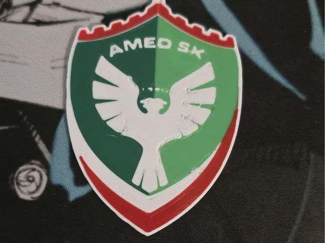Amedspor Keychain