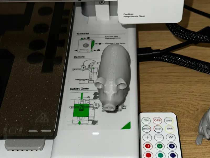 Porky the Playful Piglet
