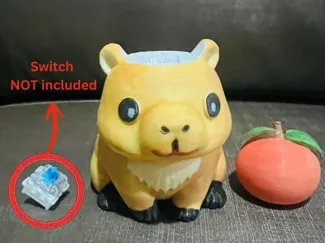 Capybara Orange Clicker – MX DIY