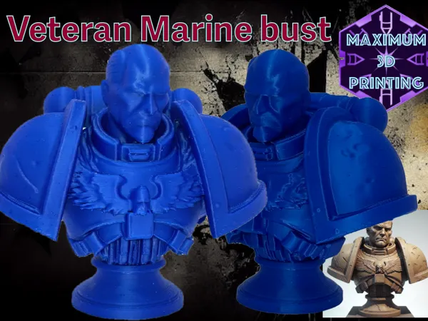 https://makerworld.bblmw.com/makerworld/model/US83e4ce13dc430e/design/000f29978af2fecd.png