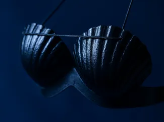 Shell Bra Lingerie