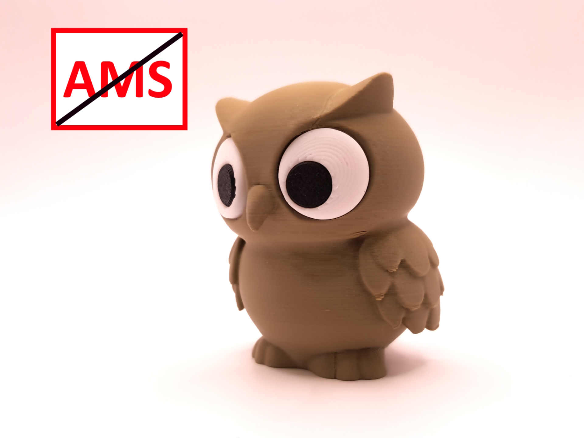 NO AMS kleine Eule