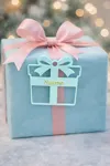 Pendant Gift