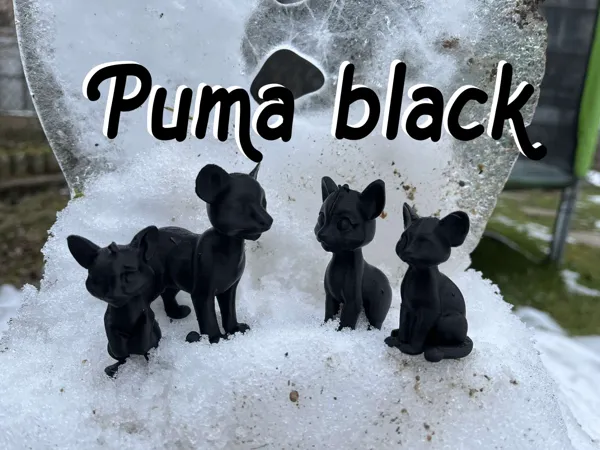 Famille de pumas miniature