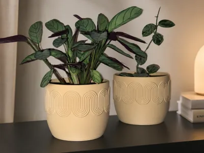 Soft Wave Planter