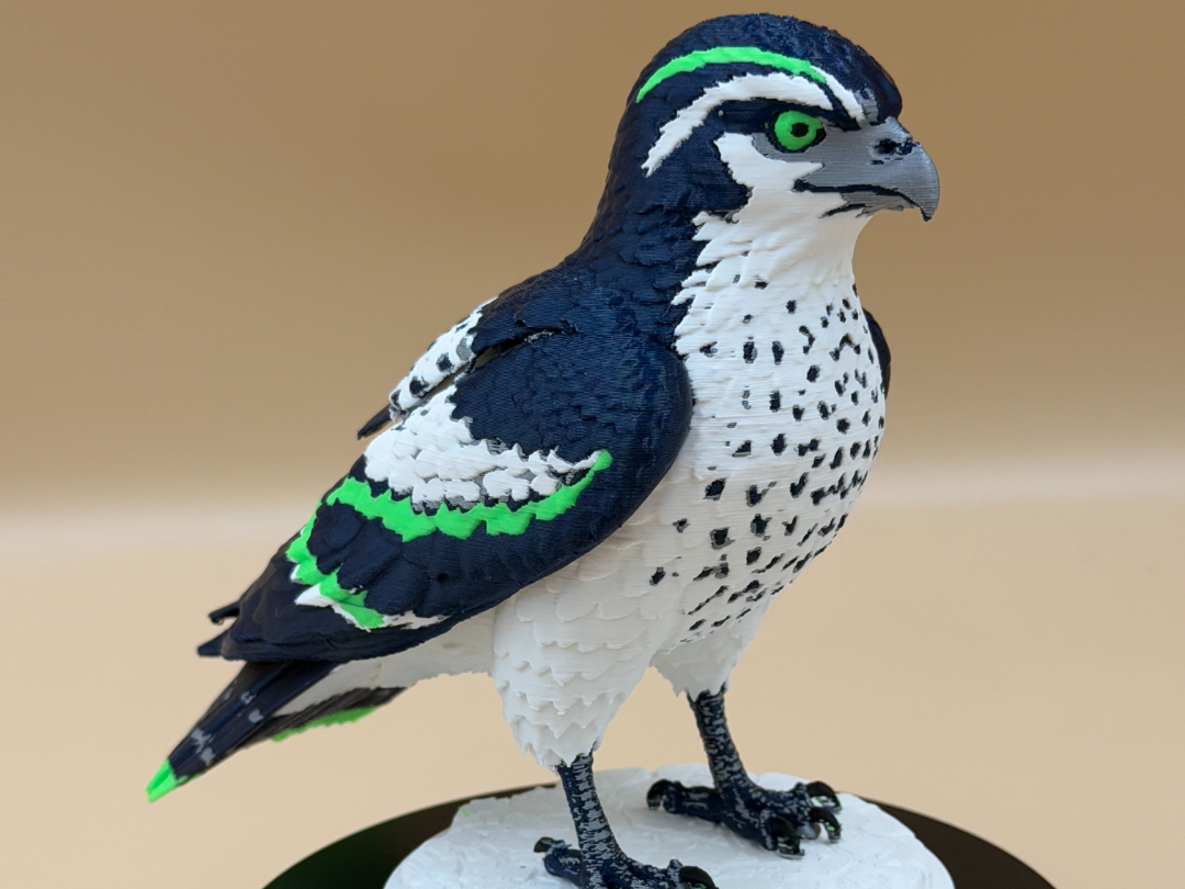 Majestic Seattle Sea Hawk
