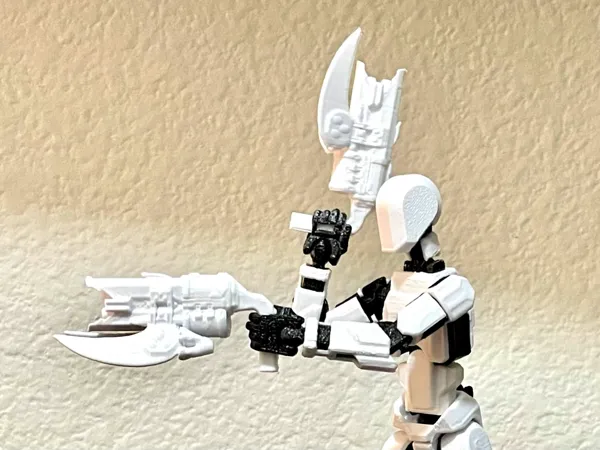https://makerworld.bblmw.com/makerworld/model/US83f3ecb81a0cd9/design/2024-09-10_f43e713e636de.jpg