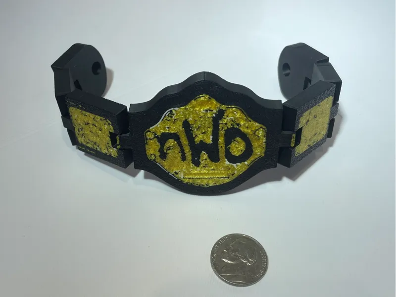 NWO Belt flexi