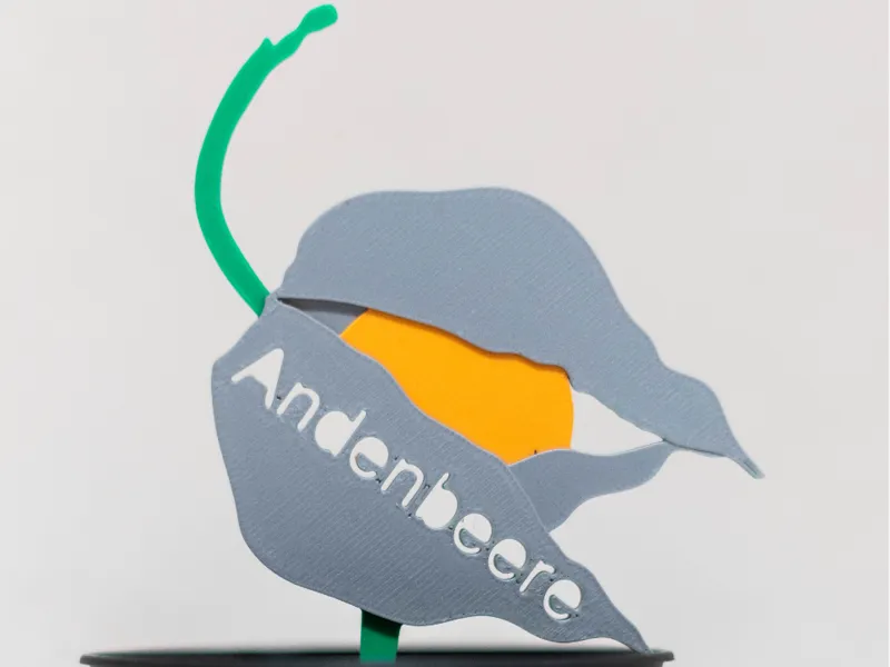 Pflanzschild "Anderbeere" Physalis