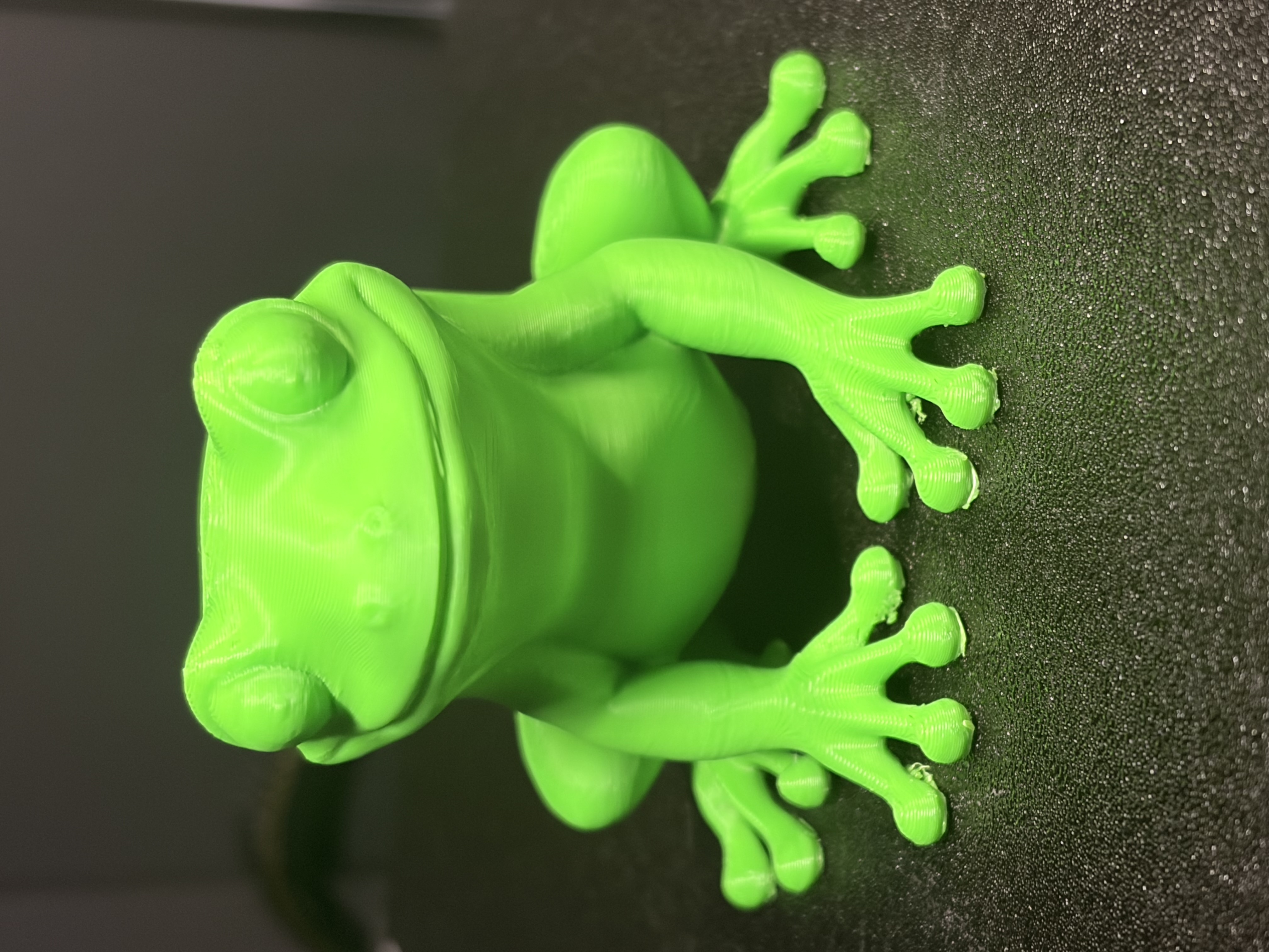 Miniatura 2 do modelo 3D Tree Frog