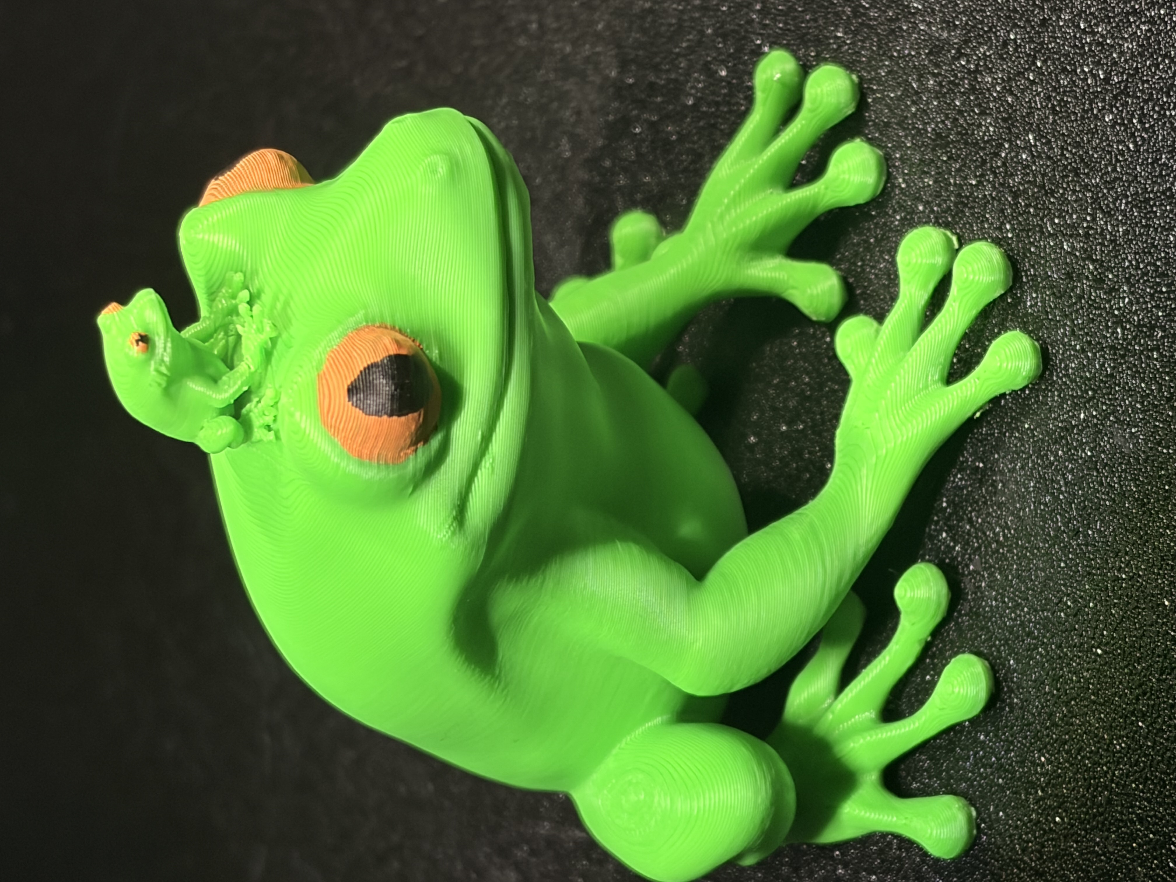 Miniatura 3 do modelo 3D Tree Frog
