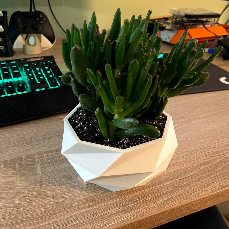 Wide Low Poly Planter with water chamber