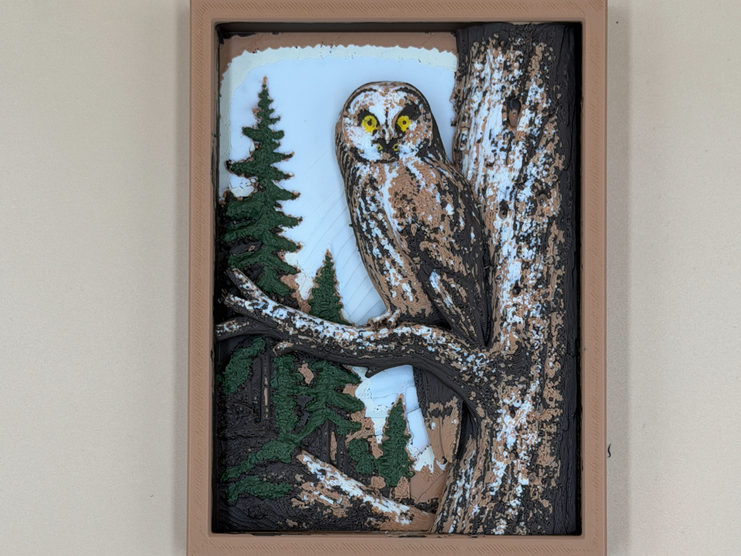 Silent Sentinel Owl Shadow Box