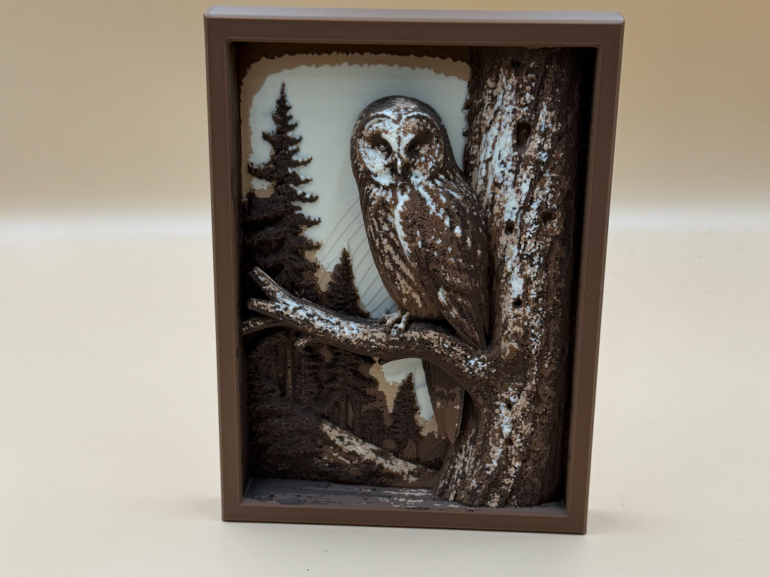 Silent Sentinel Owl Shadow Box