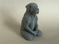 0.16mm layer, 2 walls, 5% infill
